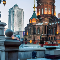 真抗冻还是装的？哈尔滨零下20度老外光腿穿短裤!