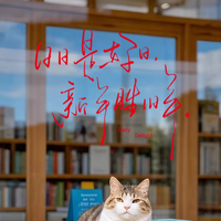 青禾纪手写静电贴窗花新年装饰玻璃贴纸过年氛围感2026马年窗贴