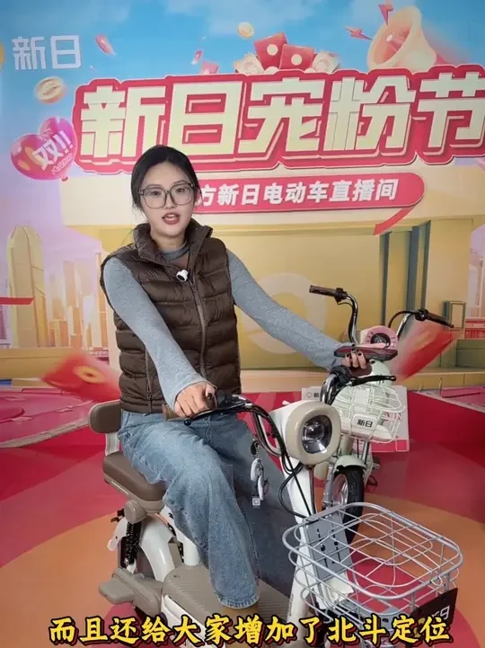 新日新国标电动车#电动车 #新日电动车