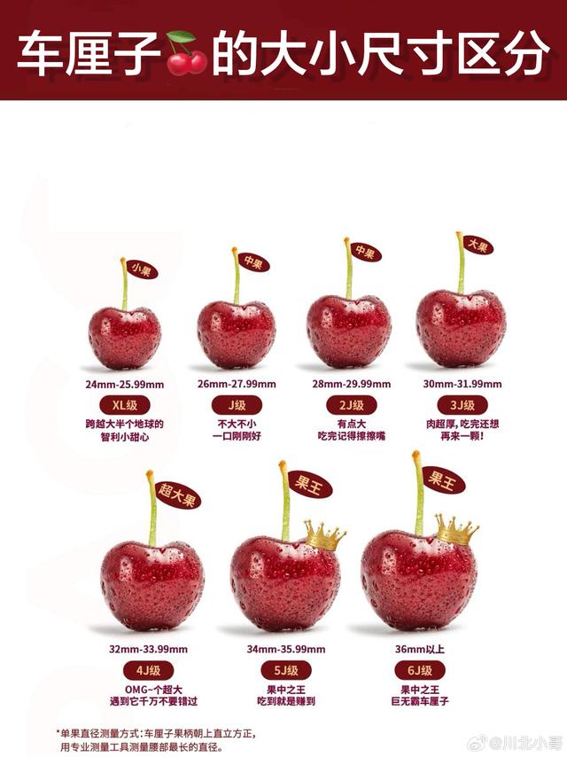 #这是车厘子还是车轮子#🍒车厘子选购+等级科普：3招挑到鲜甜好果。1️⃣车厘子选得好，鲜甜不踩坑，等级和新鲜度是核心关键，一文讲清选购技巧。等级看标签字母+数字，行业通用J级标准：J单果26-28mm