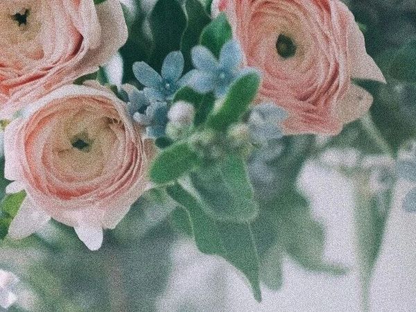 采蘑菇 | 22颗。今日份好买。