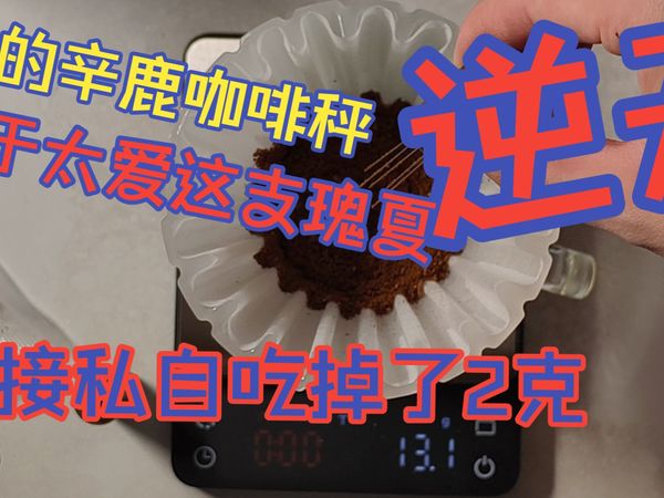 《我的辛鹿咖啡秤由于太爱这支瑰夏，直接吃掉了2克》论：我该怎么办