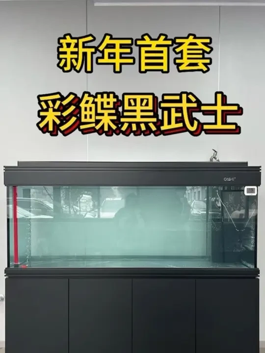 彩鲽黑武士黑岩板定制交付安装实拍 26年的首套彩鲽鱼缸交付记录！#鱼缸 #龙鱼缸 #彩蝶鱼缸