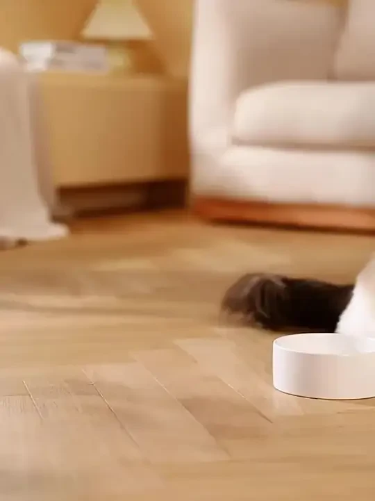 kimpets宠物神器！猫狗自动喂水喂食一体，不插电超方便！
#宠物喂食器 #猫狗喂水神器 #宠物用品 #狗狗喂水器 #水碗一体神器