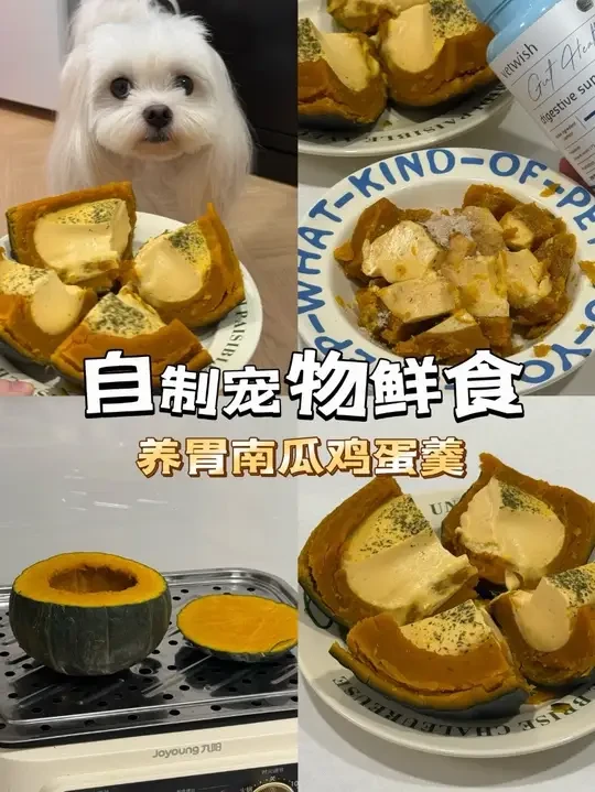 标题:一分钟学会宠物鲜食！养胃南瓜鸡蛋羹 
文案: 
超级简单的宠物鲜食“南瓜鸡蛋羹”
👨‍🍳准备食材:贝贝南瓜 鸡蛋 舒化奶
👩‍🍳步骤:
1⃣️贝贝南瓜洗净切掉顶部，掏干净南瓜籽
2⃣️贝贝南瓜上