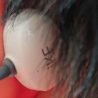 沉浸式听觉新体验:iKF AirClip Pro开放式耳机上手实测。