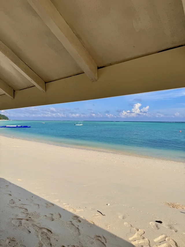 俺这辈子不会再来亚庇了💔真的很囧囧囧