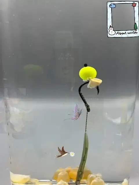 队长反底钓组珠珠钓鱼装备户外垂钓用品 #队长反底钓组 #珠珠钓鱼装备 #户外垂钓用品 #反吹平衡钓组 #钓鱼配件