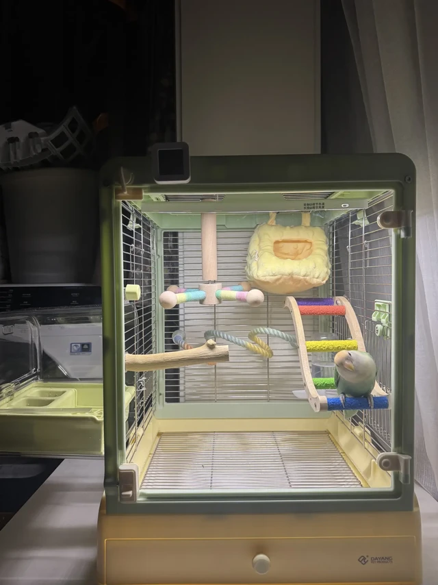 想看一下你们的鸟笼🩰