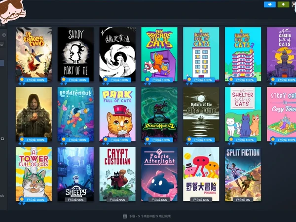 2025 Steam 游戏年终总结
