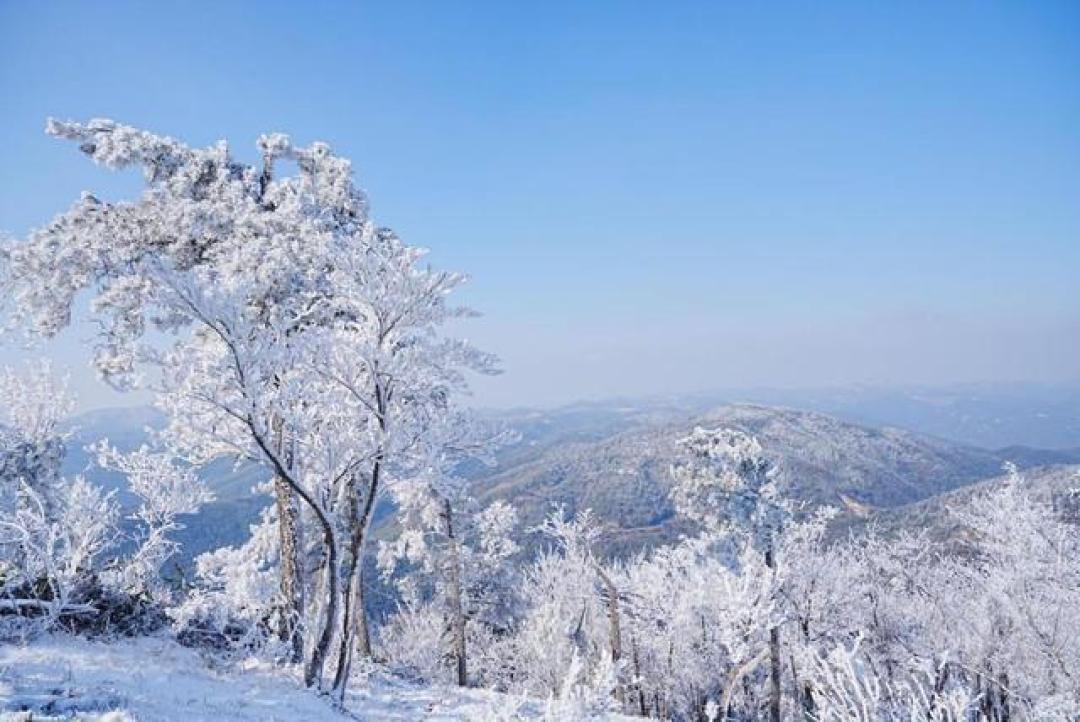 天台华顶山雾凇奇观刷屏，宛如现实版冰雪童话世界