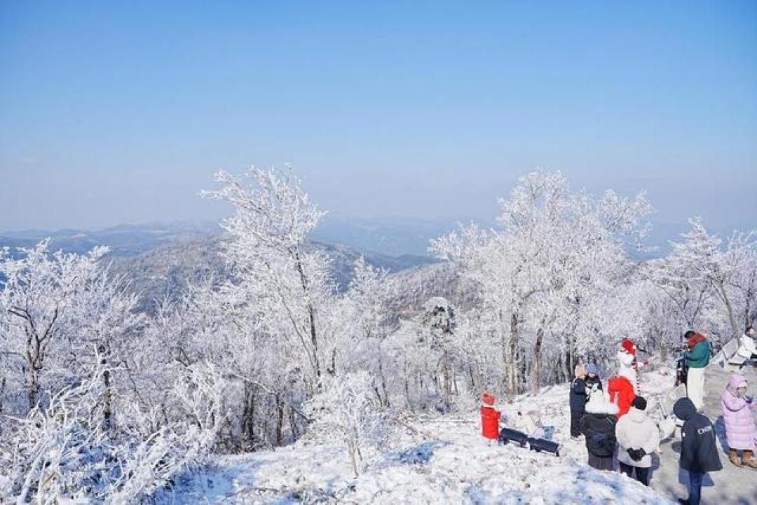 天台华顶山雾凇奇观刷屏，宛如现实版冰雪童话世界