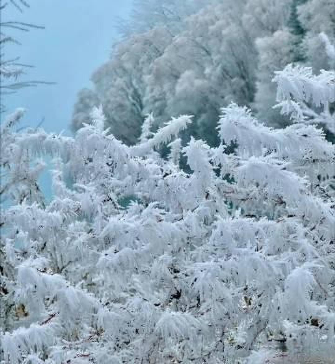 天台华顶山雾凇奇观刷屏，宛如现实版冰雪童话世界
