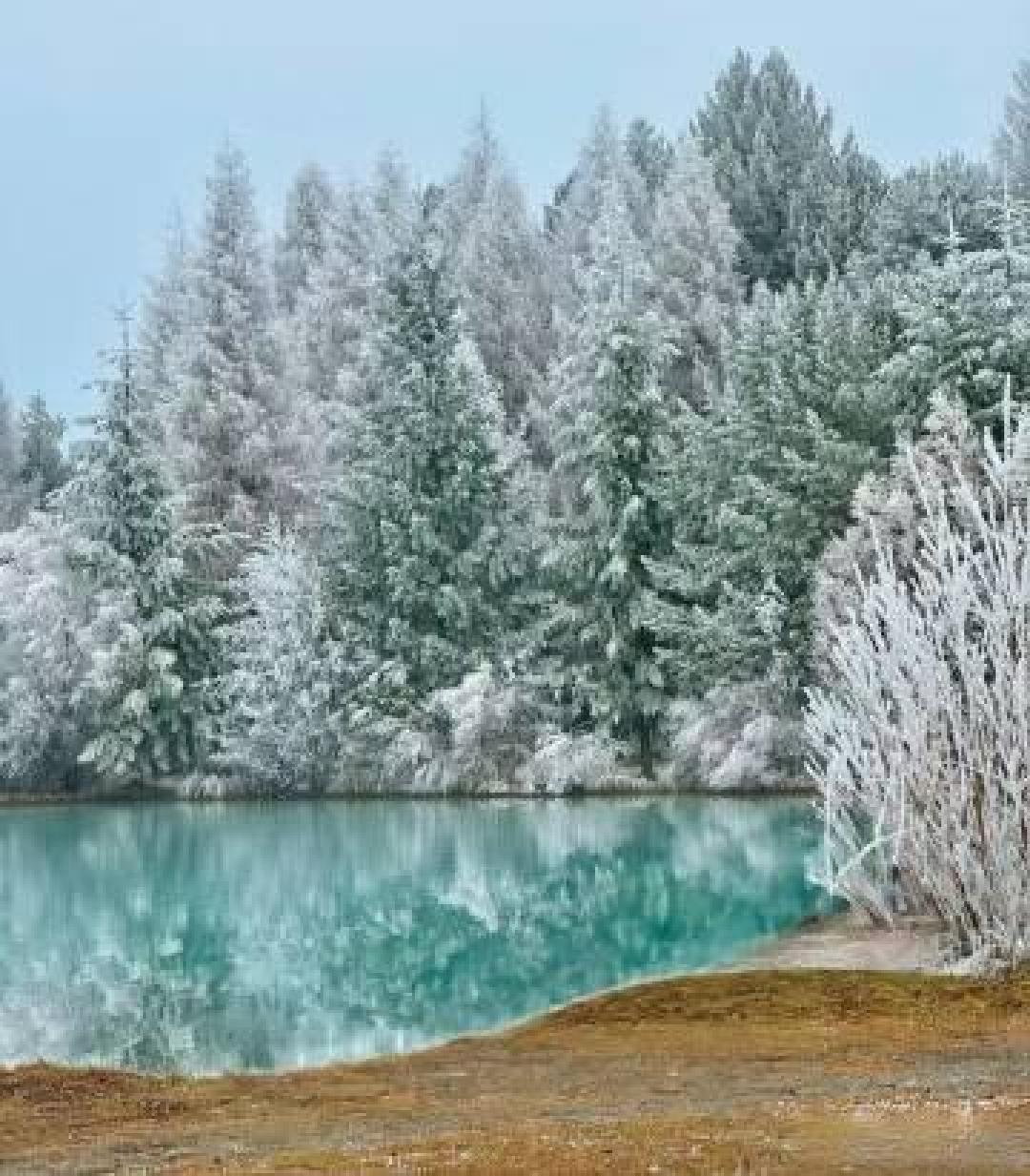 天台华顶山雾凇奇观刷屏，宛如现实版冰雪童话世界