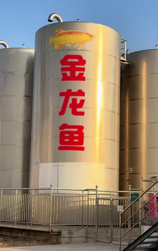 金龙鱼黑苦荞醋，金龙鱼老陈醋！#新农人计划 #抖音美食创作者 #金龙鱼梁汾醋业 #金龙鱼老陈醋