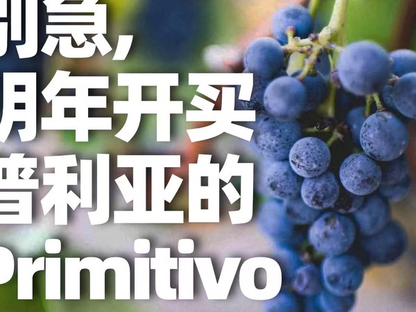 别急，明年开买普利亚的Primitivo!