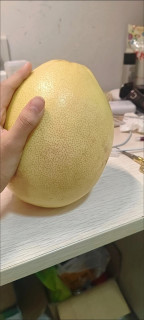 红心蜜柚：薄皮大果超实在