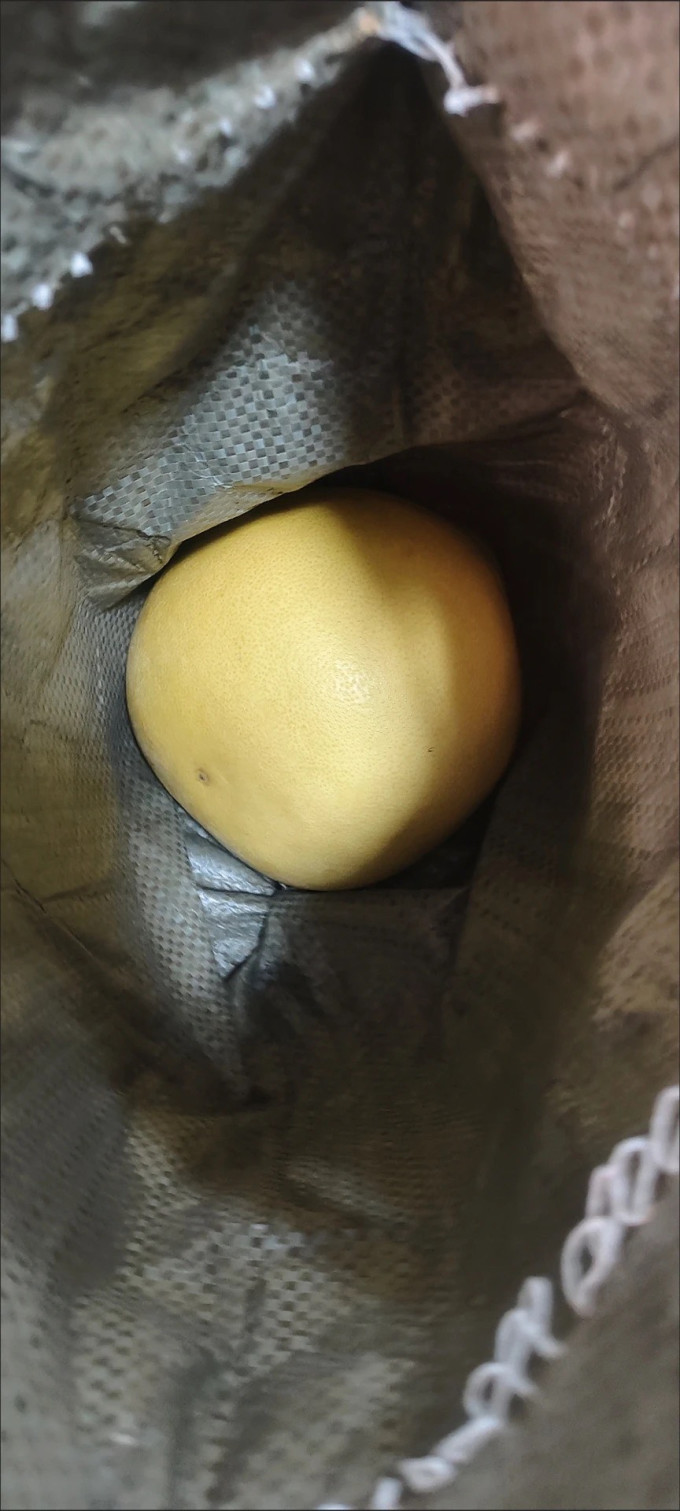 新鲜水果
