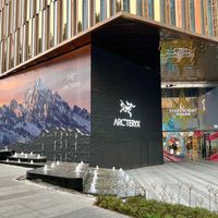 始祖鸟马年限定遇冷，高端户外还能卖多久“身份感”？120+用户观点全景呈现