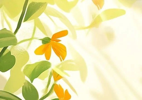 养生不是负担，是生活的艺术｜这10个简单习惯，让你悄悄变健康