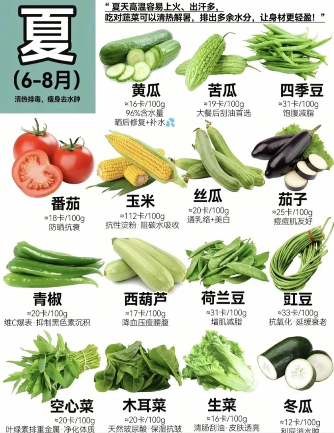 蔬菜