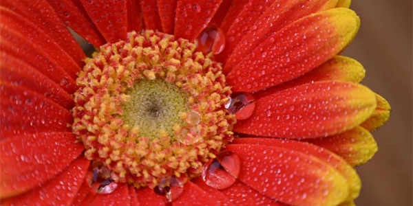 3980元 尼康发布尼克尔Z 24-105mm f/4-7.1镜头