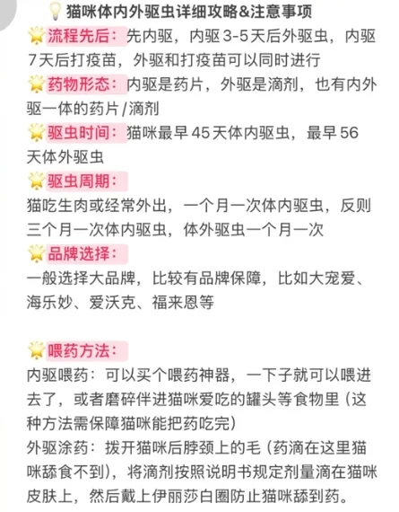 猫咪驱虫全攻略✅不踩雷版！新手养猫必看！