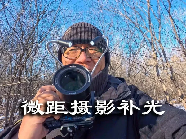 冬季微距摄影，找到适合的主体很重要，光线更重要，微距补光灯 冬季微距摄影，找到适合的主体很重要，光线更重要，微距补光灯 #微距摄影 #JJC微距补光灯