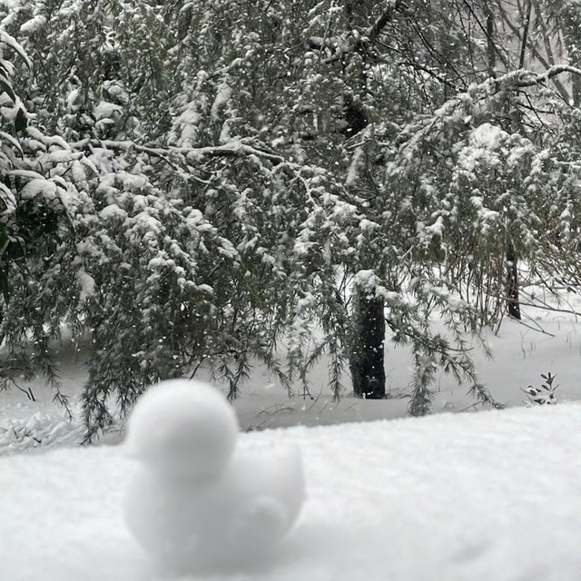 2026第一个心愿，求一场漫天大雪