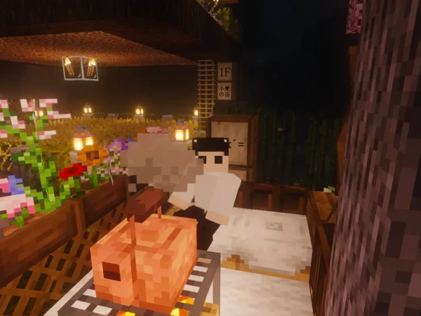 来自mc养老服务器