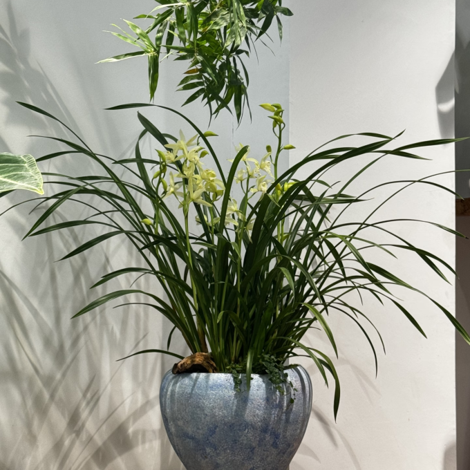 鲜花绿植
