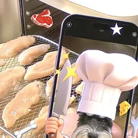 萌宠零食高价囤货 vs 自制替代？我们汇总了127位养宠人的真实观点