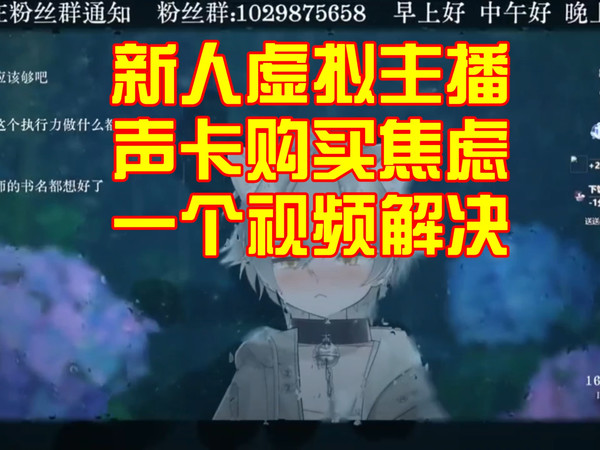 新人虚拟主播声卡购买推荐讲解