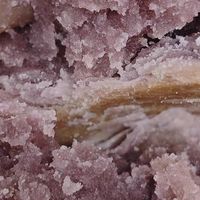 山姆会员性价比分析：家庭需求与消费场景