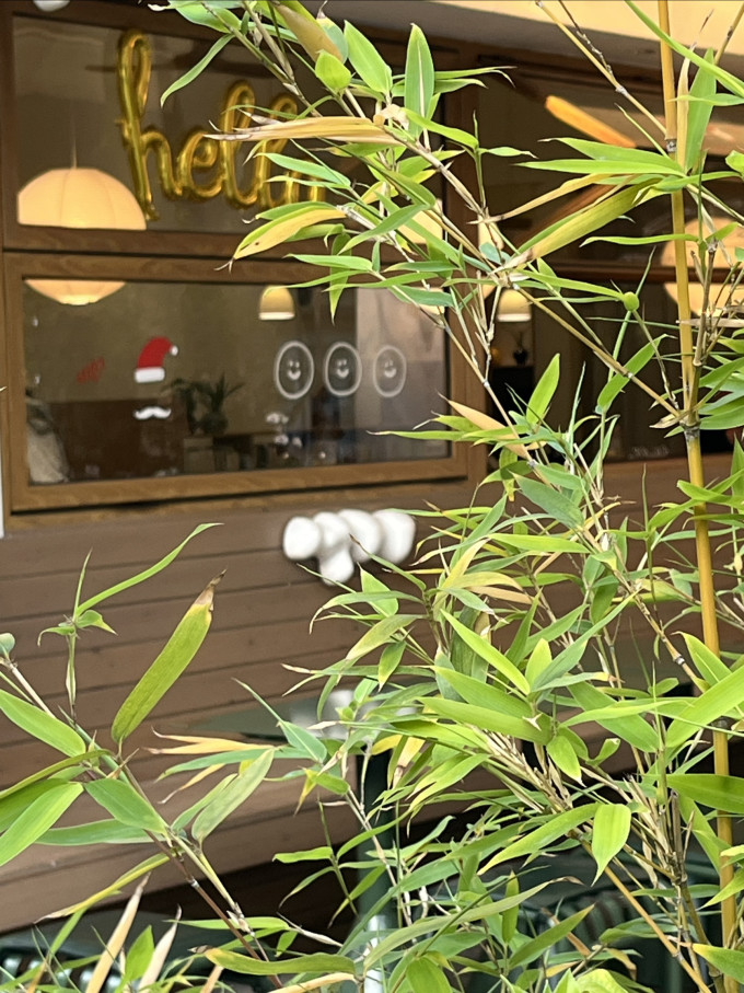元宵汤圆