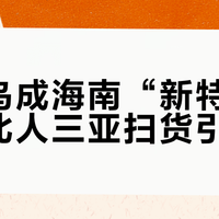 始祖鸟成海南“新特产”，东北人三亚扫货引热议？我们用50+用户观点全景呈现