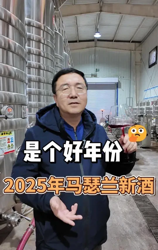 酒庄日常：车间品酒、聊新酒入桶方案
#杨老师的车库酒庄
#斩男又斩女#旭域金山酒庄#生活vlog#三农