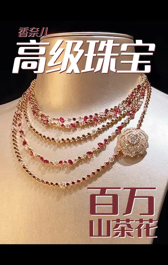 百万级香奶奶山茶花高珠你见过吗？