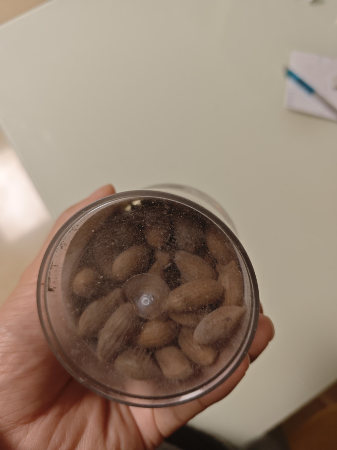 坚果炒货