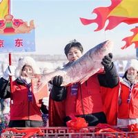 鱼中顶流 价值169万元！京东宣布拿下查干湖冬捕头鱼 免费送