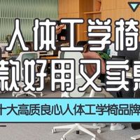 人体工学椅哪款好用又实惠？2026十大护腰人体工学电脑椅品牌推荐