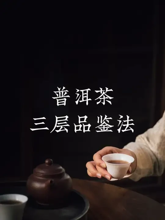 有效的普洱茶审美，关乎时间感、空间感与基础风格。#茶叶进化论 #普洱茶 #品鉴 #审美 #茶课