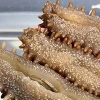 海参泡发率越高越好吗?快来看看！