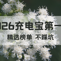 2026充电宝第一名是哪个牌子？精选十款充电宝，充电不踩坑