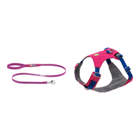 P绳 vs 胸背带？我们汇总了78位养狗人的真实体验，结论在这