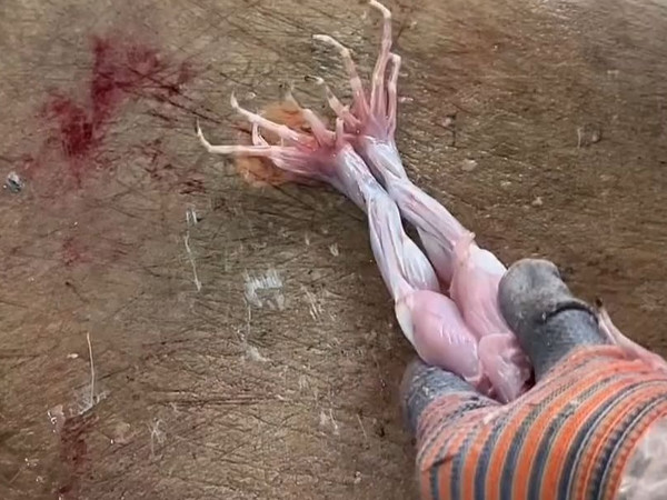 卖一行，吃一行