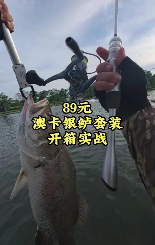 百元澳卡银鲈套装实战测试，看完你将对百元路亚套装有个新的认知，现在买有杆有轮还送线送饵，还有一把多功能路亚钳，非常不错#路亚钓鱼 #路亚 #钓鱼 #路亚套装 #路亚新手