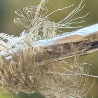 惠普USB4 Gen2 240w 20g数据线全功能一线通拆解这个价血赚or翻车