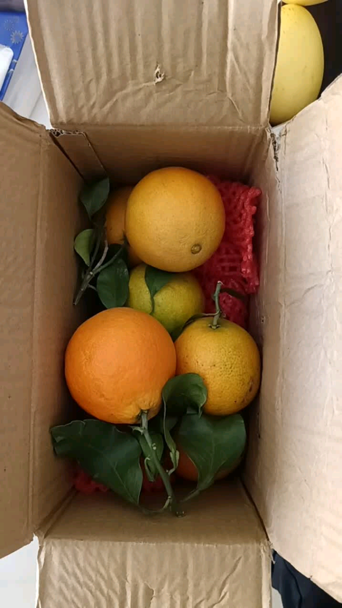 新鲜水果