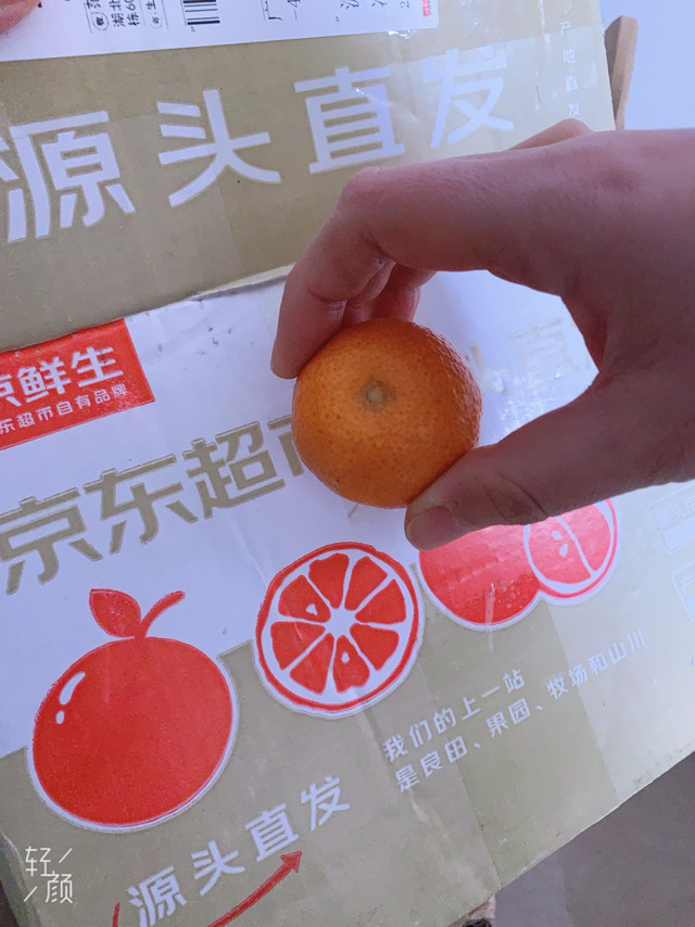 一个砂糖橘一个网袋的砂糖橘也是开了眼
